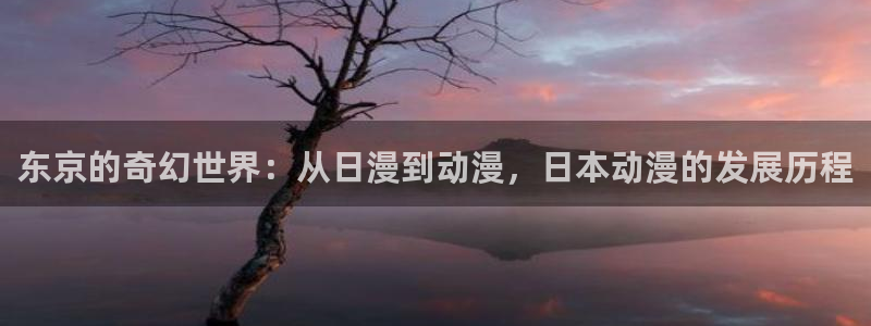 樱花动漫网官网在线：东京的奇幻世界：从日漫到动漫，日本动漫的发展历程
