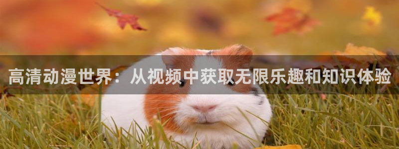 樱花动漫p专注动漫门户网站：高清动漫世界：从视频中获取无限乐趣和知识体验