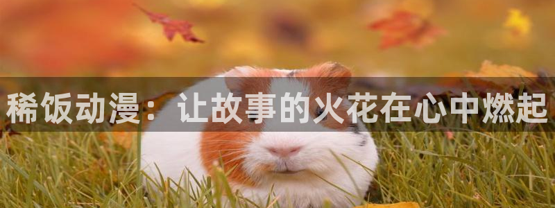 樱花动漫 在线：稀饭动漫：让故事的火花在心中燃起